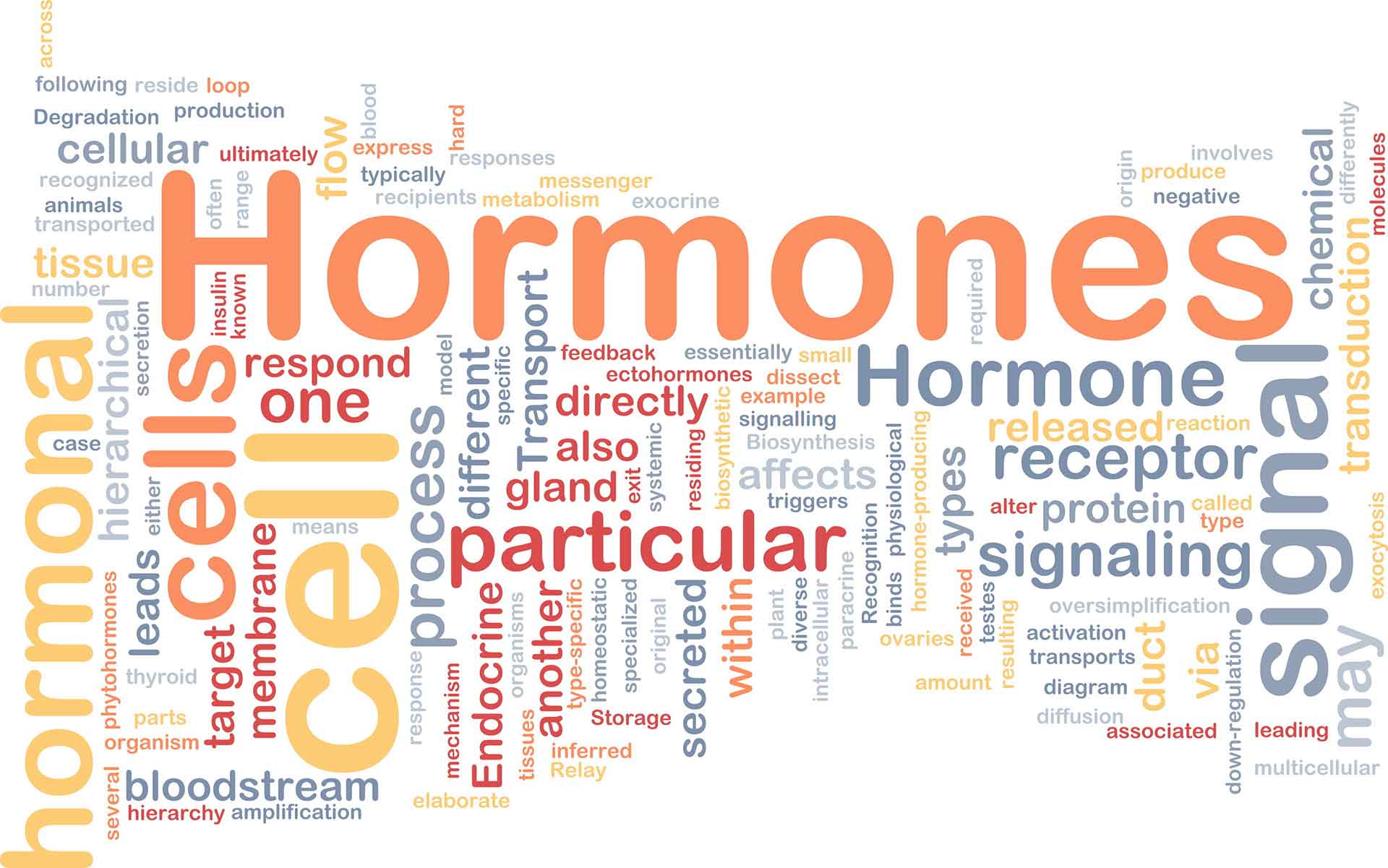 Hormonelle-Stoerungen-Symptome